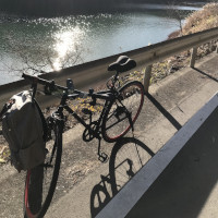 湖畔に停められた自転車