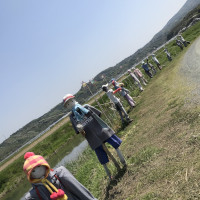 立ち並ぶ案山子
